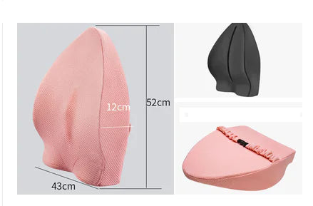 ErgoFoam Back Support Cushion