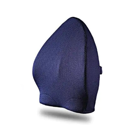 ErgoFoam Back Support Cushion